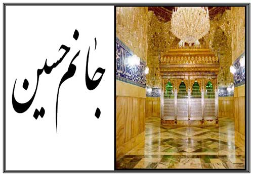 نمایه نظریه و رهنمود