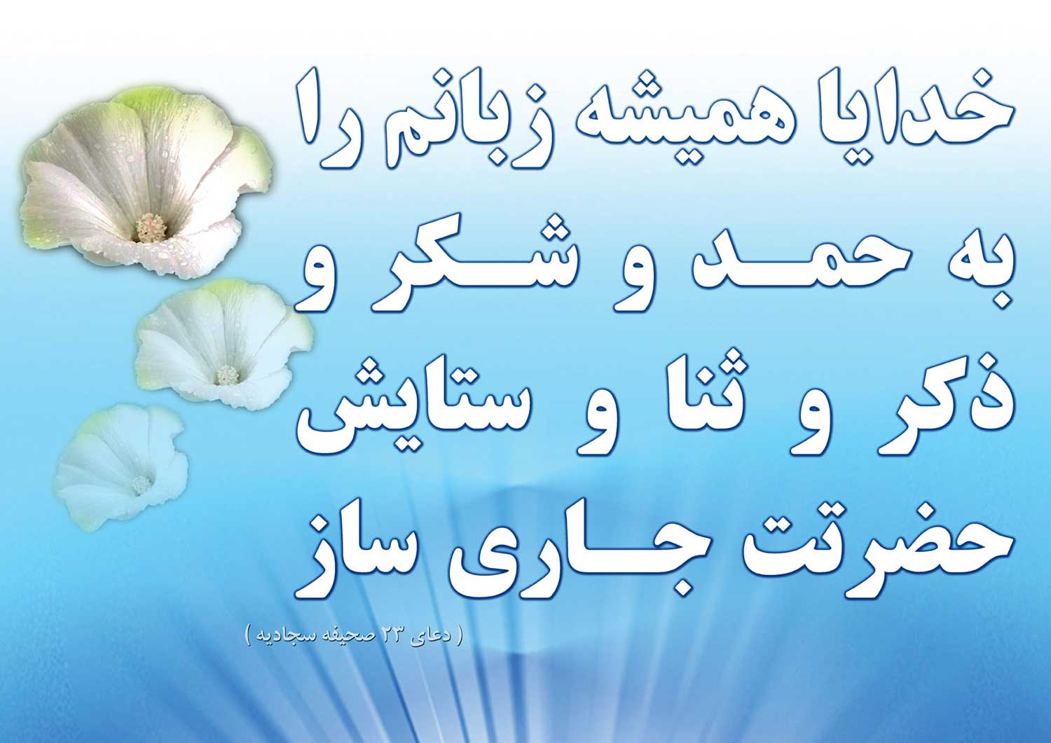 نمایه نظریه و رهنمود