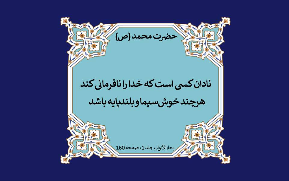 نمایه نظریه و رهنمود