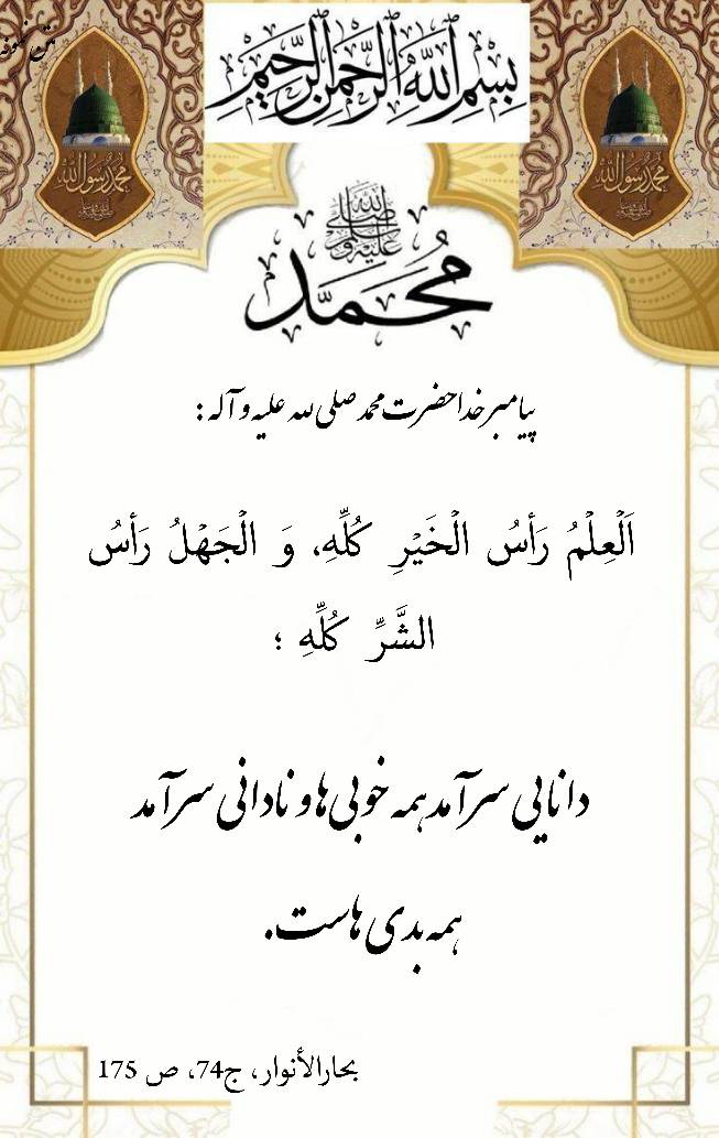 نمایه نظریه و رهنمود