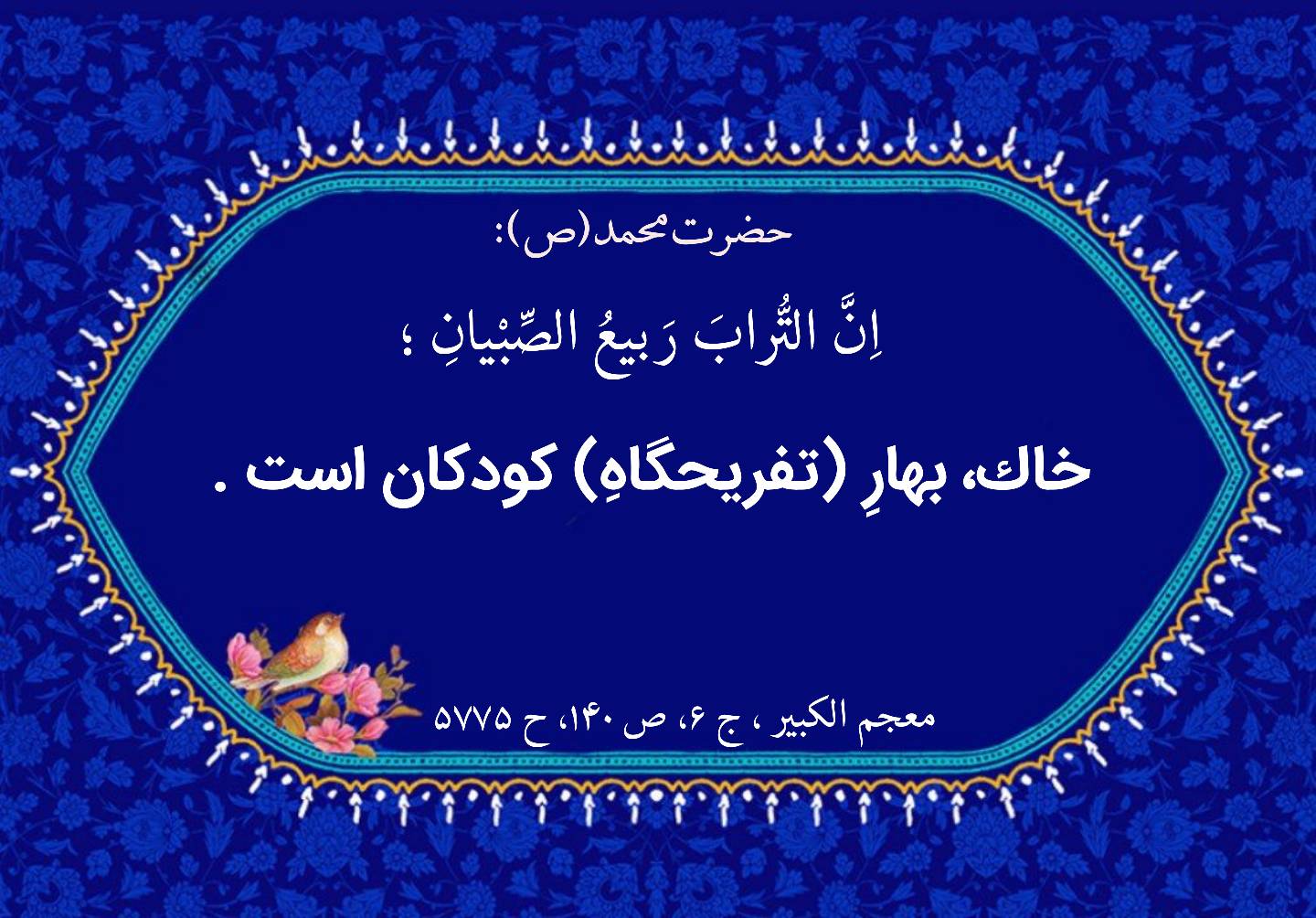 نمایه نظریه و رهنمود