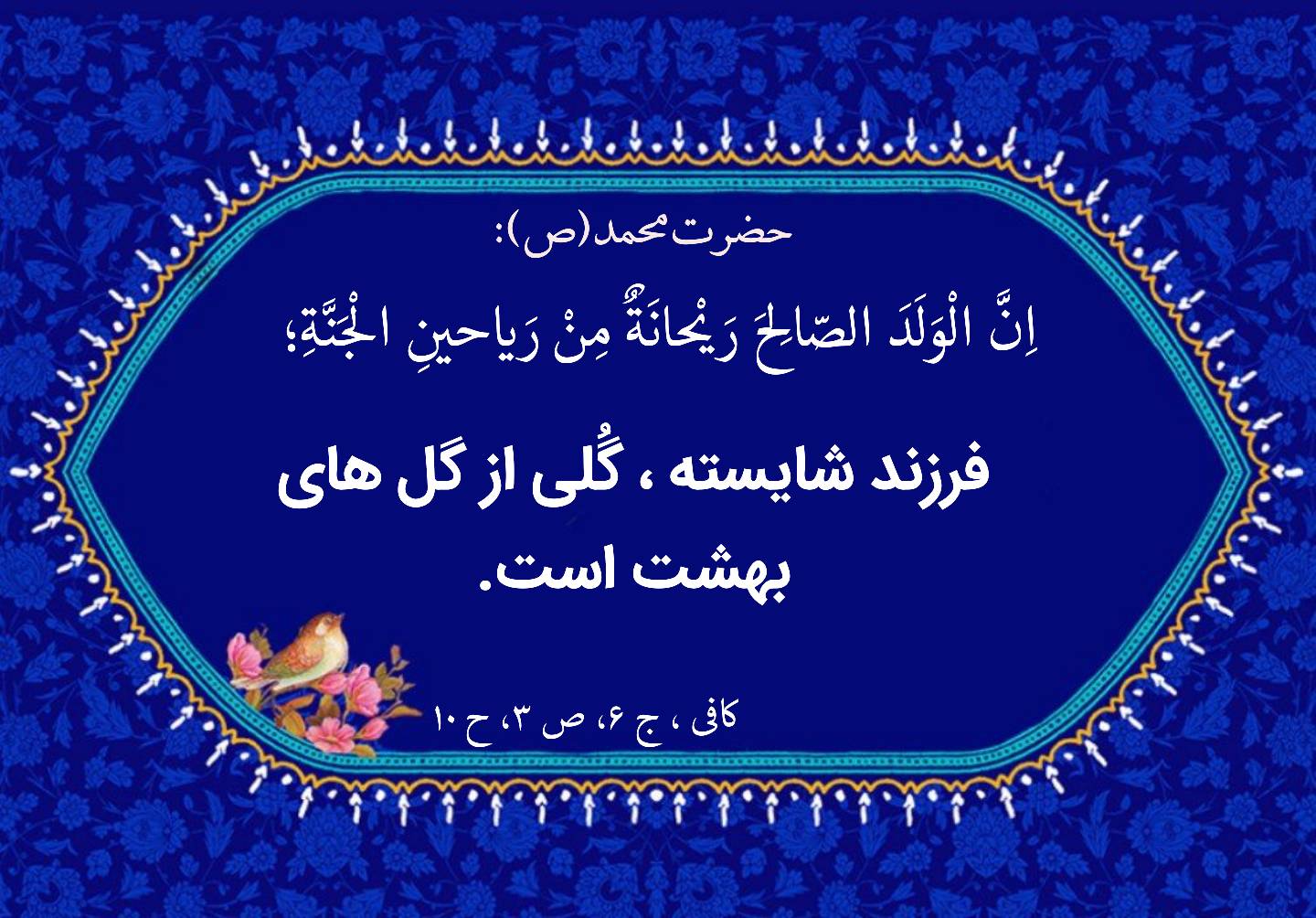 نمایه نظریه و رهنمود