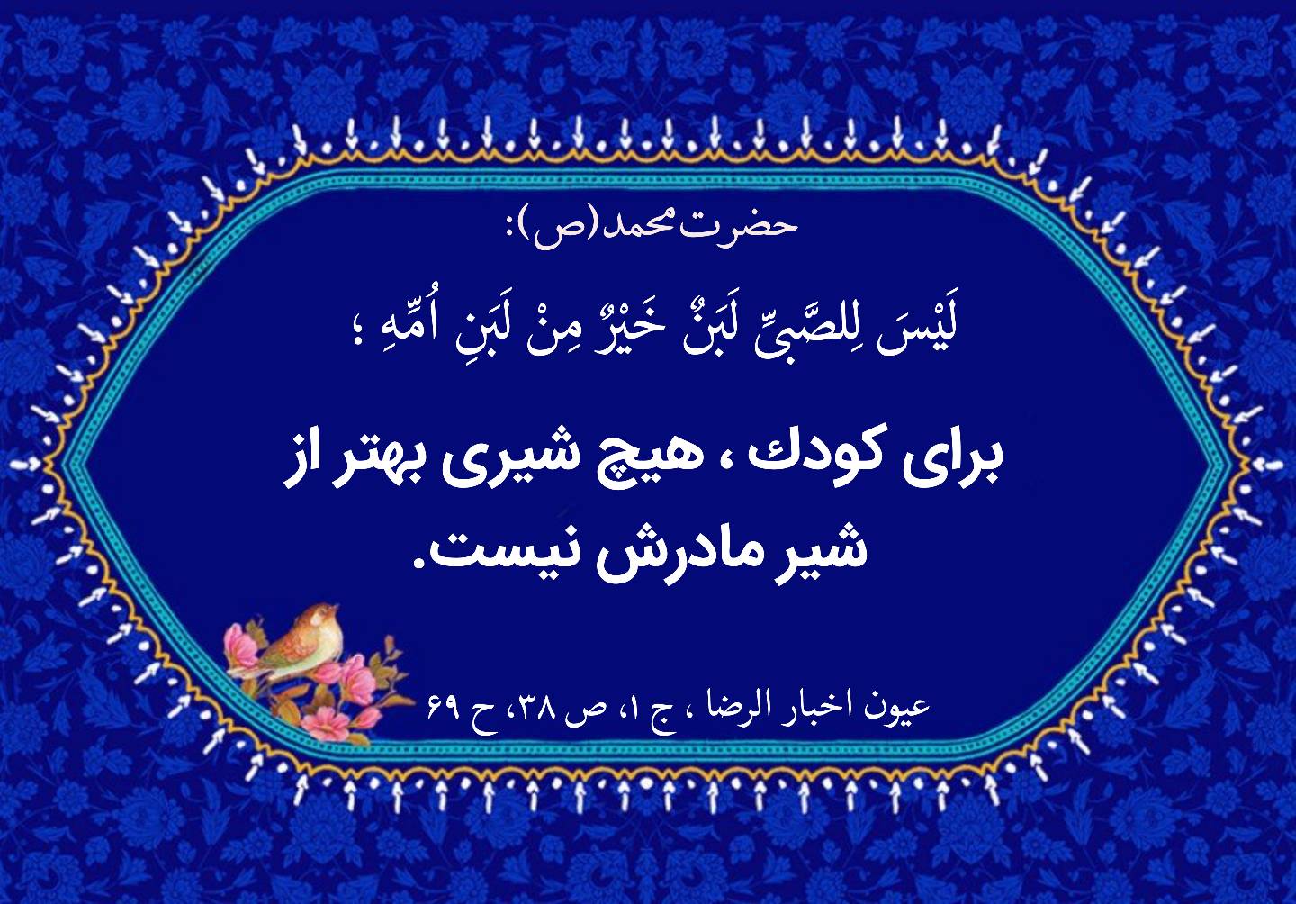 نمایه نظریه و رهنمود