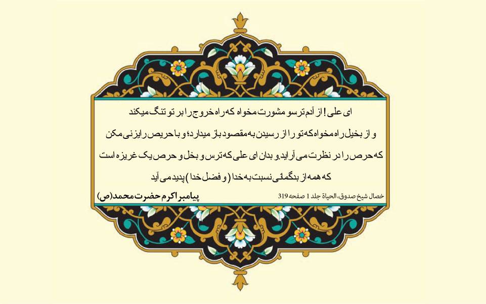 نمایه نظریه و رهنمود