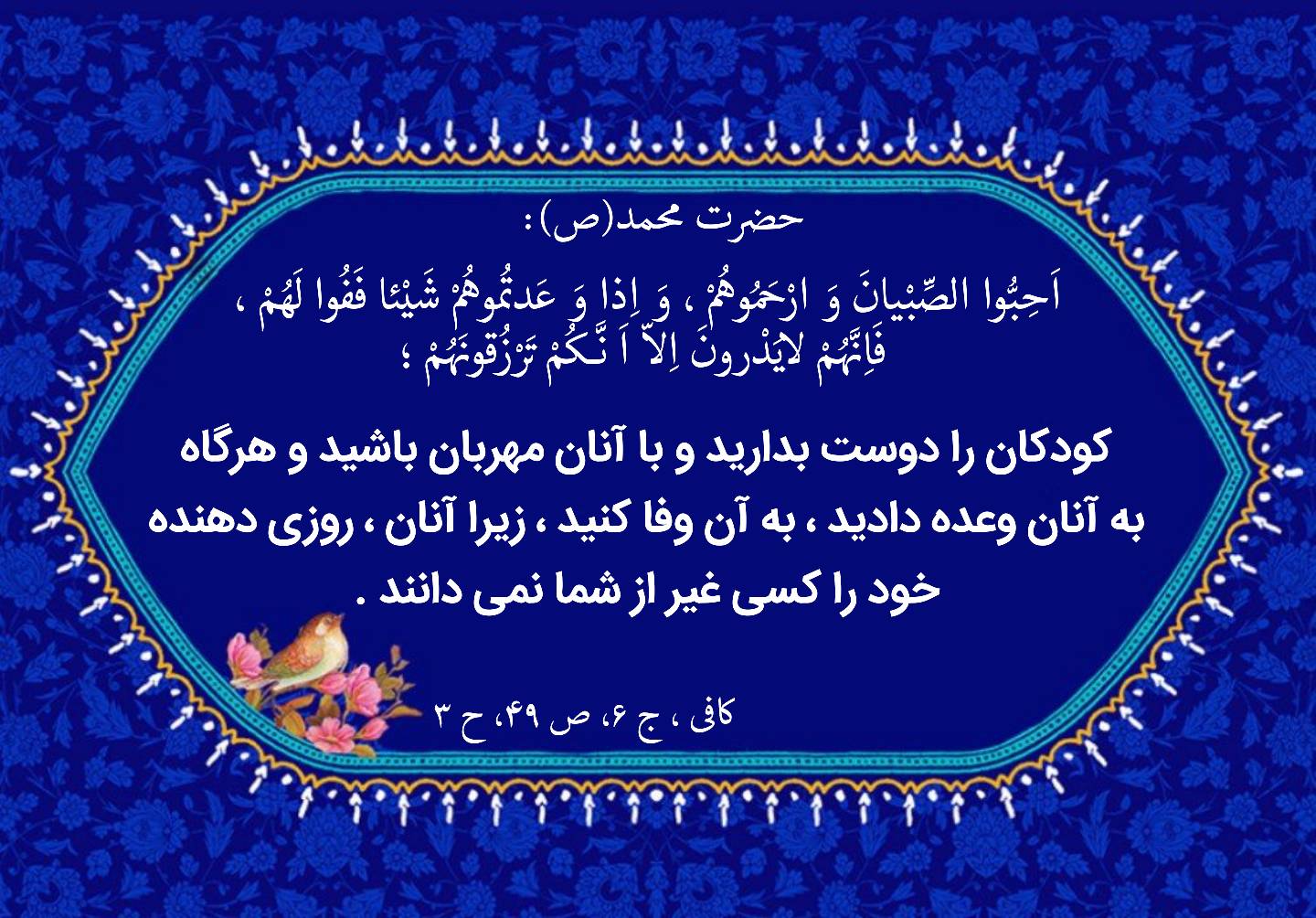 نمایه نظریه و رهنمود