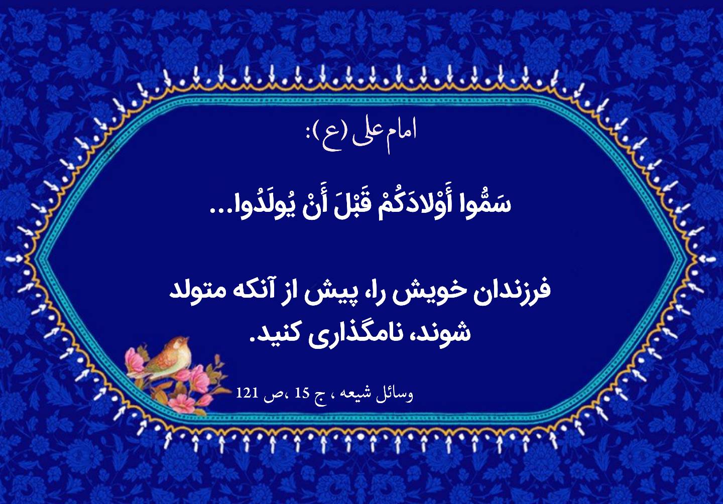 نمایه نظریه و رهنمود
